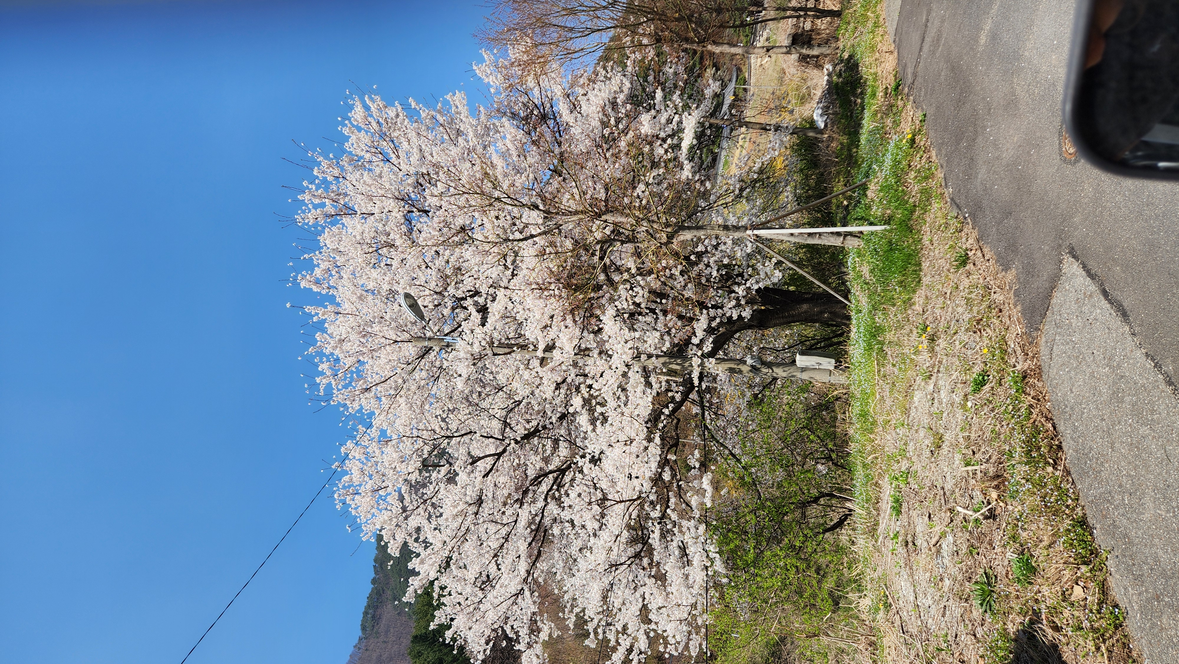 KakaoTalk_20250826_222315888.jpg