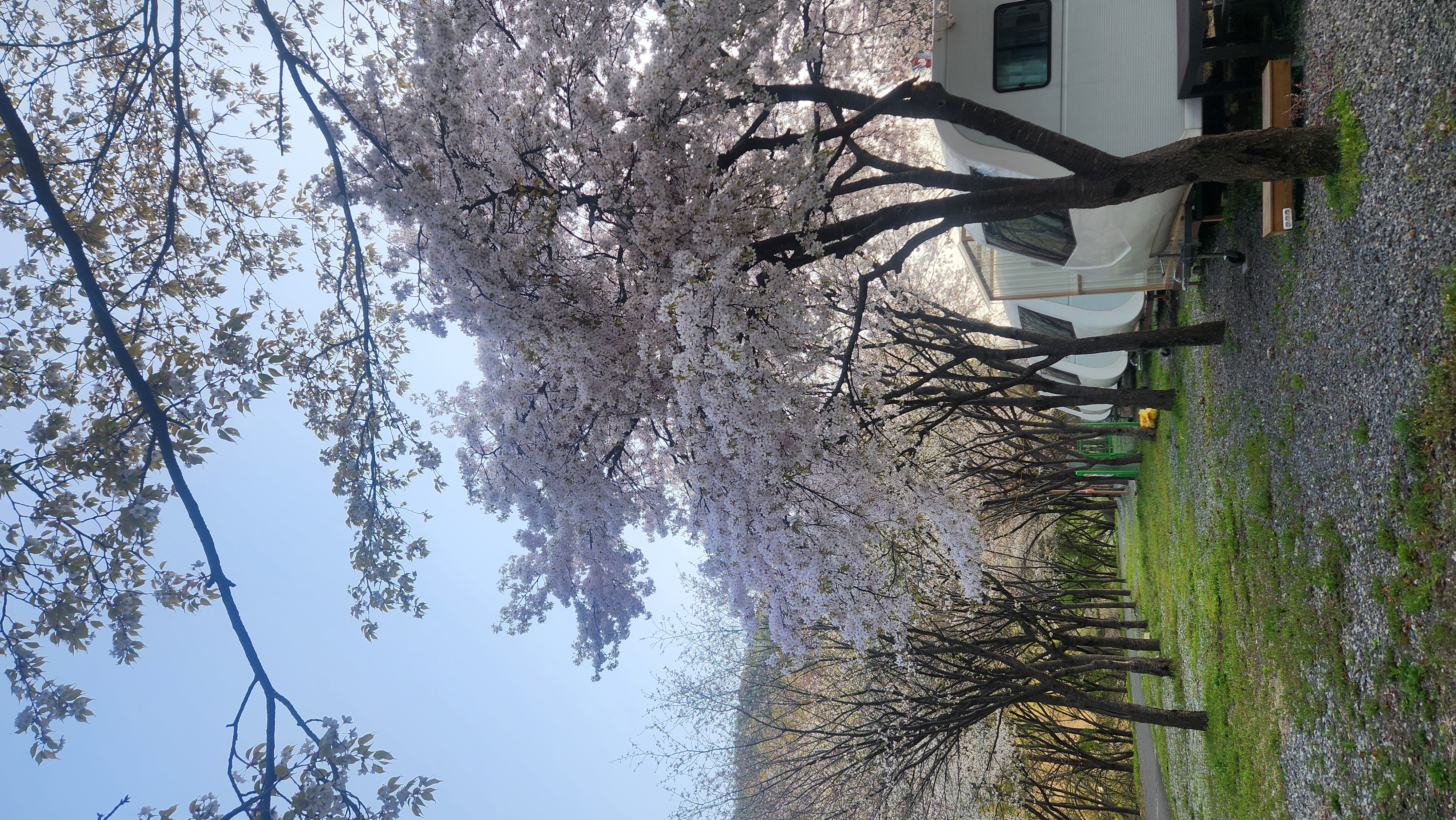 KakaoTalk_20250826_222315888_06.jpg