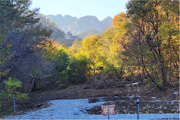 오토캠핑존 C