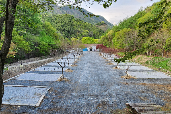 오토캠핑존 D