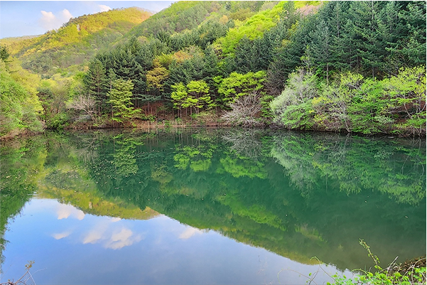 오토캠핑존 D